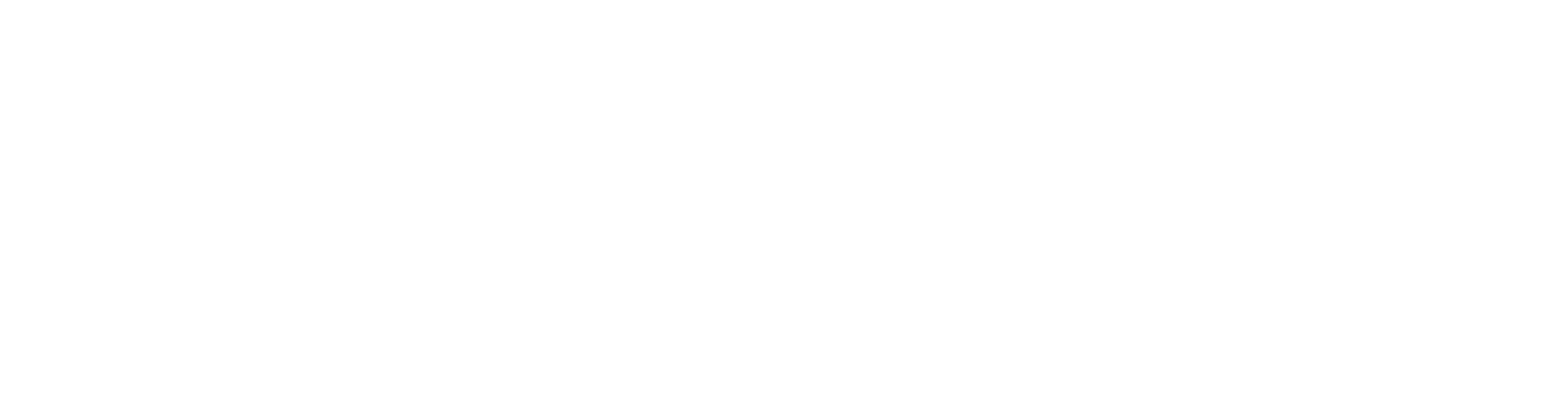 Mi Primer Rescate